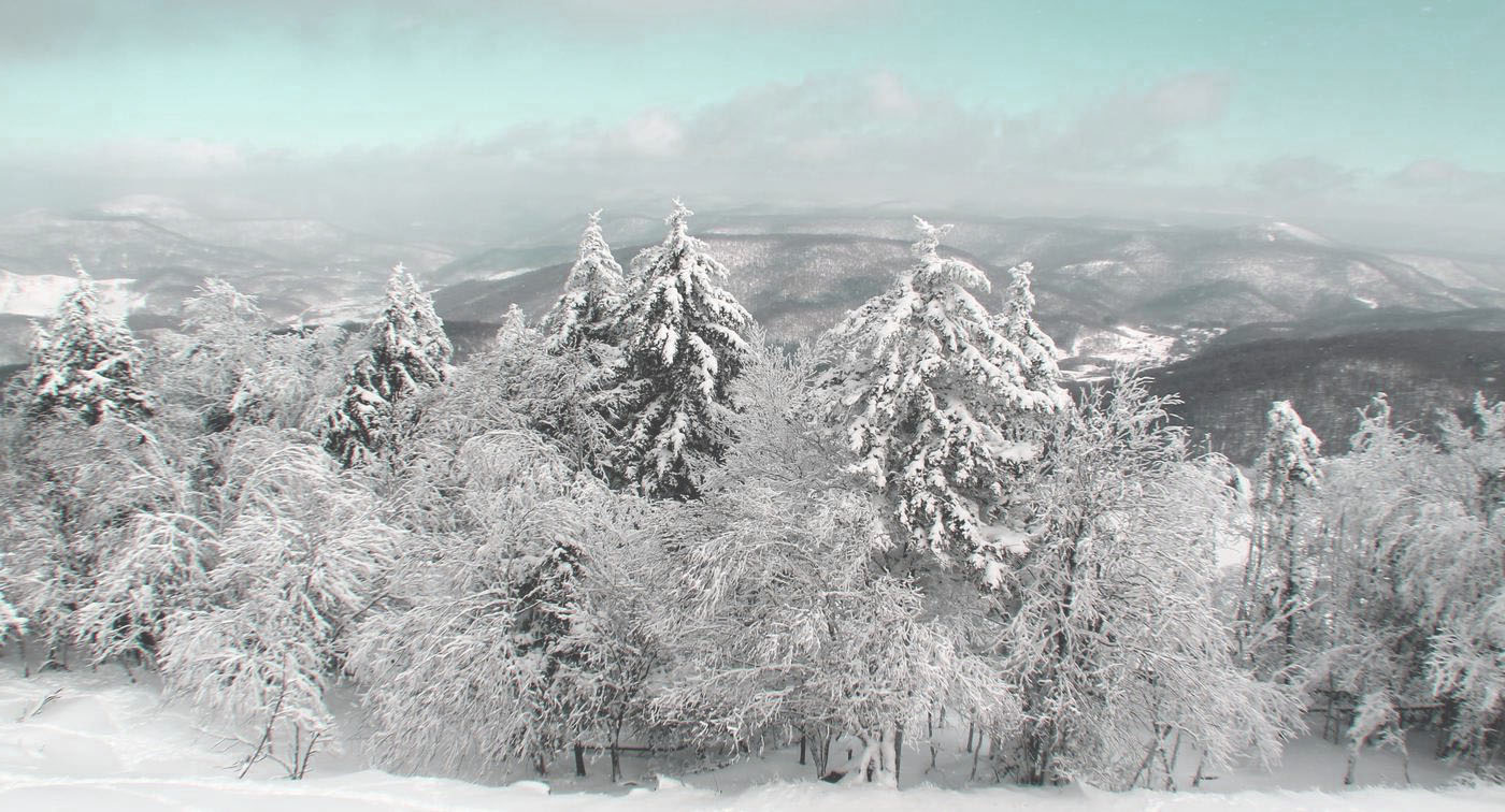 Bus Tours to Windham Mountain, NY