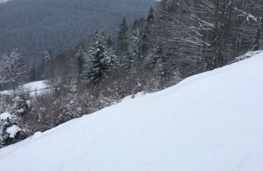 Meet this winter with snowboarding in NY