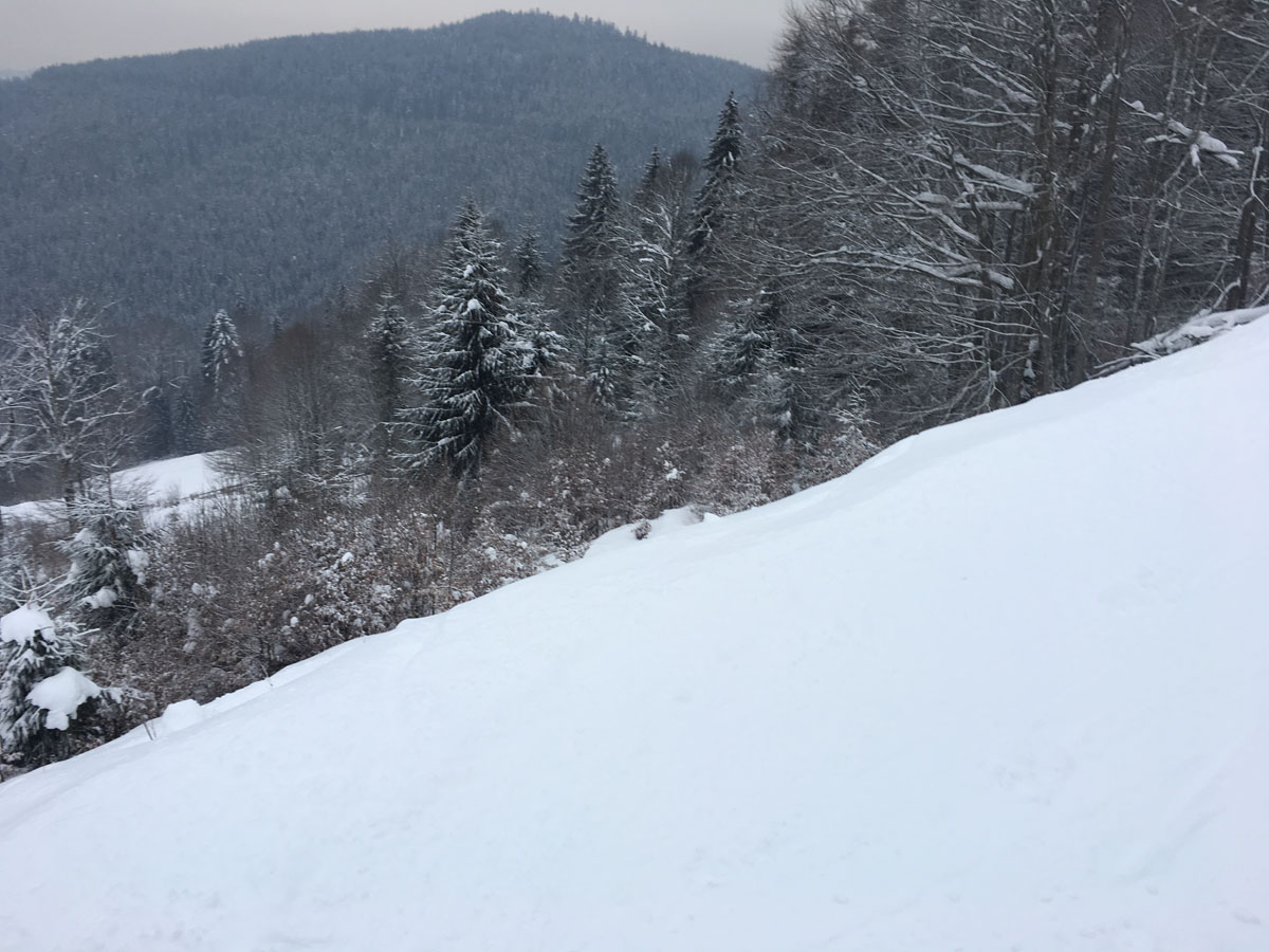 Meet this winter with snowboarding in NY